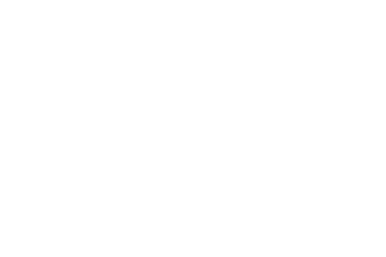 Home 11 logo-2-ces (1)