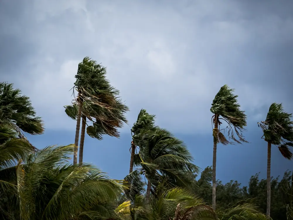 protect your roof during hurricane season