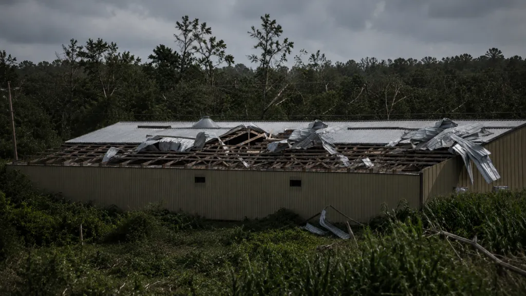 Hurricane-Damaged Flat Roof With Torn Metal Panels and Exposed Decking