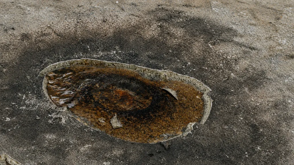 Close-up photograph of a damaged low-slope roofing system showing a large oval-shaped area where the roof membrane has deteriorated and peeled away. The exposed section reveals dark brown to black saturated material and degraded insulation with visible moisture staining, discoloration, and signs of prolonged water intrusion. The perimeter of the opening is irregular and raised, with curled membrane edges and deteriorated roofing layers visible around the boundary. Dark staining extends beyond the exposed area into the surrounding roof surface, creating a halo-like pattern that indicates moisture migration and weathering. Small fragments of torn membrane and roofing debris are scattered within the damaged section. The surrounding roof surface appears heavily aged, with embedded dirt, granular wear, and widespread discoloration. Natural lighting highlights the rough textures, moisture damage, exposed roofing components, and overall condition of the roof assembly. Commercial Roof Repair in Tampa Bay: When to Call a Contractor