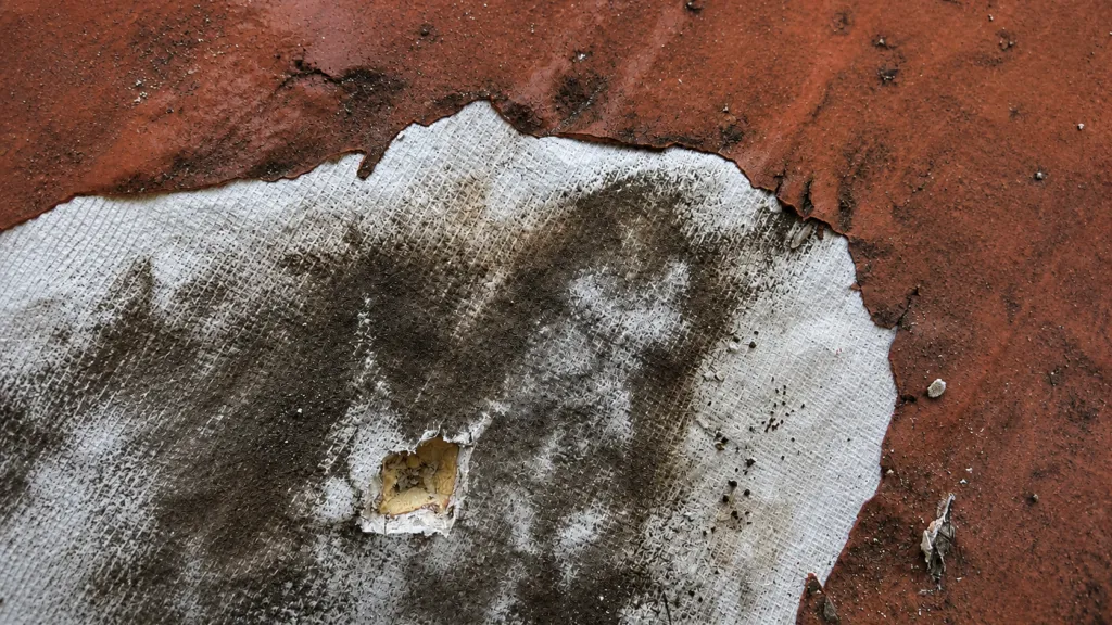 Close-up, top-down photograph of a deteriorated roofing surface showing a large irregular section of reddish-brown coating peeled away to reveal a white reinforced membrane beneath. The exposed membrane has a visible crosshatched fabric texture and is heavily stained with dark gray and black discoloration, dirt, and weathering marks. Near the lower-left center of the exposed area is a small torn hole with jagged edges, revealing a yellowish insulation or substrate layer underneath. The boundary between the reddish-brown coating and the white membrane is uneven and curled, with cracked, lifted edges indicating advanced wear and delamination. Small debris particles, loose fragments, and scattered dirt are visible across the surface. Natural lighting highlights the rough textures, peeling materials, and signs of long-term environmental exposure on the roof assembly
